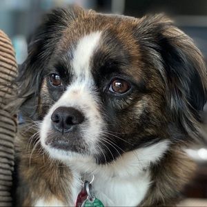 Meet your Posher, Lindsay